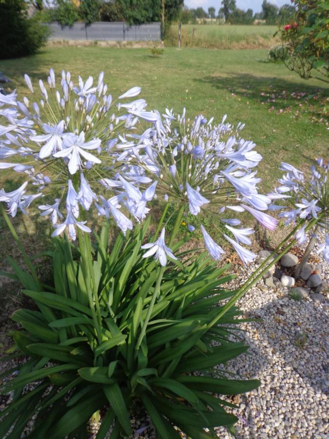 مبيت وإفطار Caux Les Fleurs Du Mont المظهر الخارجي الصورة